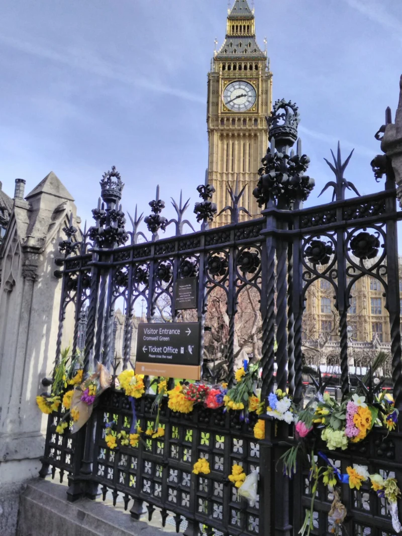 C72rcvgxkaaveid jpg large