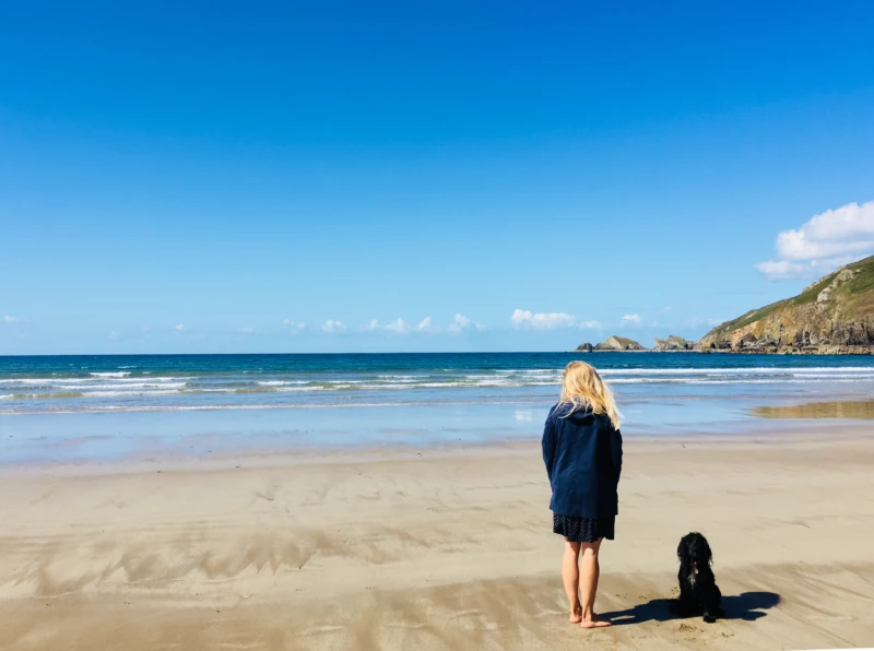 B9d46920 7474 4068 8949 264c0fc7aaf1 1 201 a